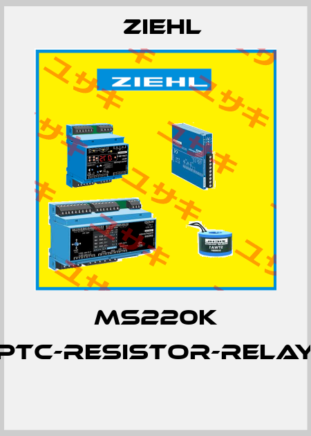 MS220K PTC-RESISTOR-RELAY  Ziehl