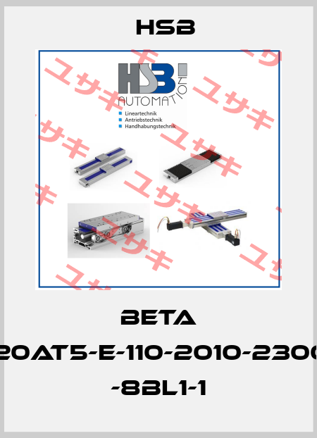 Beta 50-C-ZRS-20AT5-E-110-2010-2300-AK-AZ2-S -8BL1-1 HSB AUTOMATION