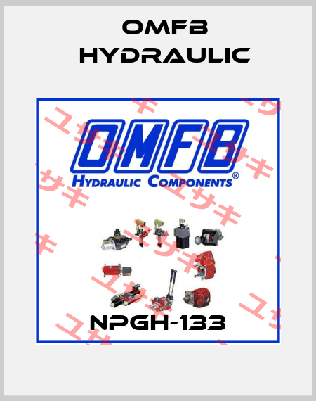 NPGH-133 OMFB Hydraulic
