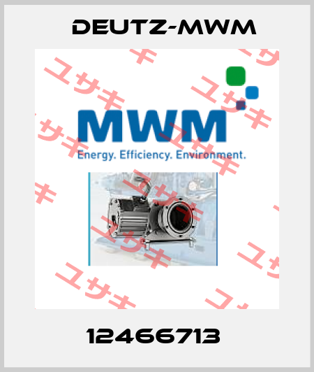 12466713  Deutz-mwm