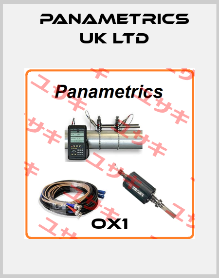 OX1 PANAMETRICS UK LTD