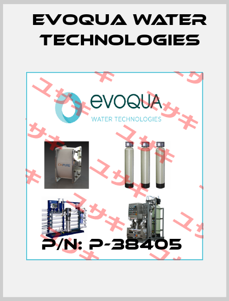 P/N: P-38405  Evoqua Water Technologies