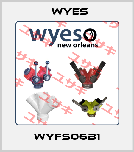 WYFS06B1 Wyes