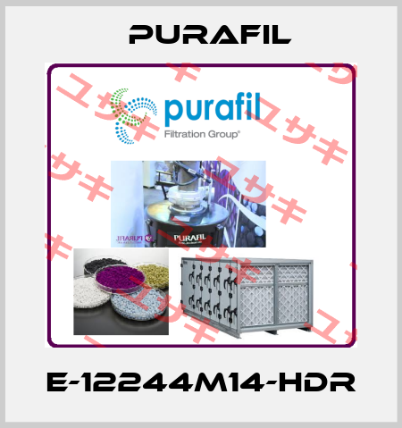 E-12244M14-HDR Purafil