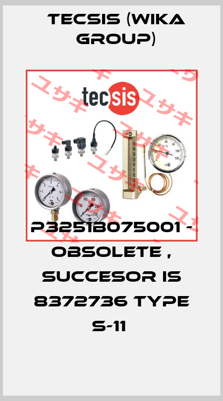 P3251B075001 - obsolete , succesor is 8372736 type S-11  Tecsis (WIKA Group)