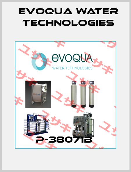 P-38071B  Evoqua Water Technologies