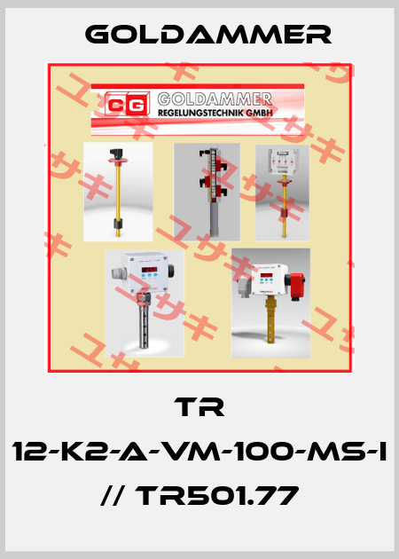 TR 12-K2-A-VM-100-MS-I // TR501.77 Goldammer