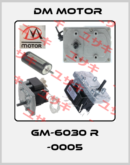 GM-6030 R -0005 DM Motor