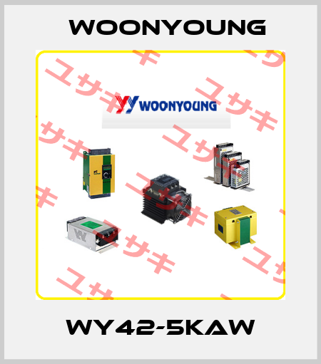WY42-5KAW WOONYOUNG