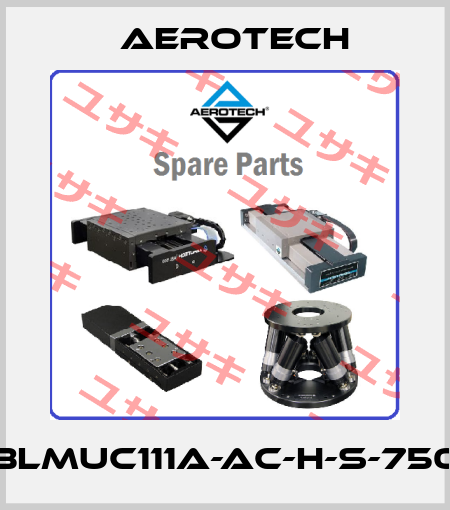 BLMUC111A-AC-H-S-750 Aerotech