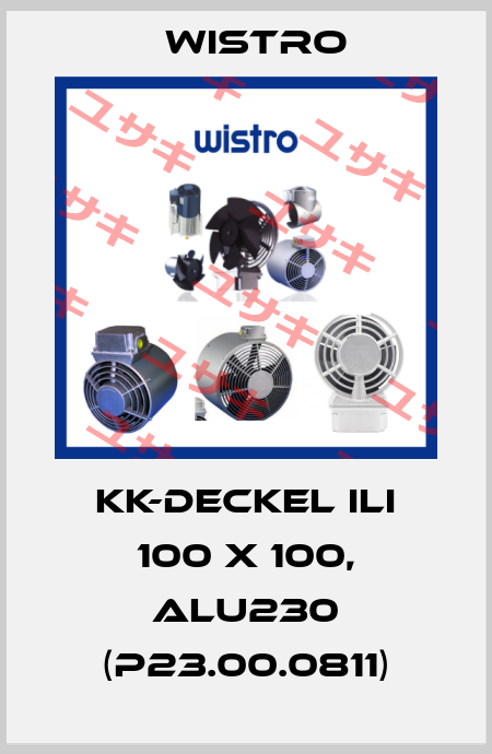 KK-Deckel ILI 100 x 100, Alu230 (P23.00.0811) Wistro