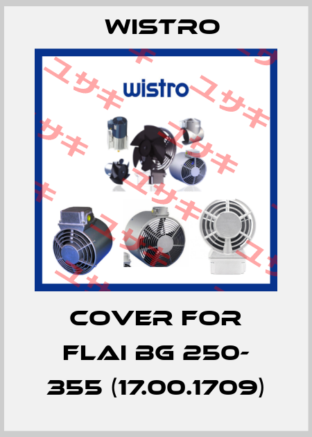 Cover for FLAI Bg 250- 355 (17.00.1709) Wistro