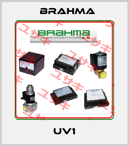 UV1 Brahma