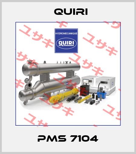 PMS 7104 Quiri