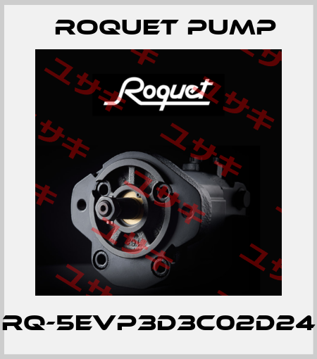 RQ-5EVP3D3C02D24 Roquet pump