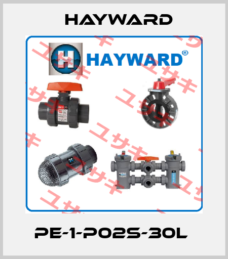 PE-1-P02S-30L  HAYWARD