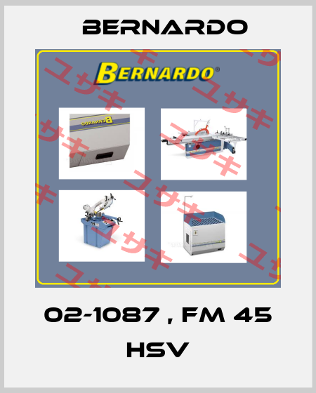 02-1087 , FM 45 HSV Bernardo