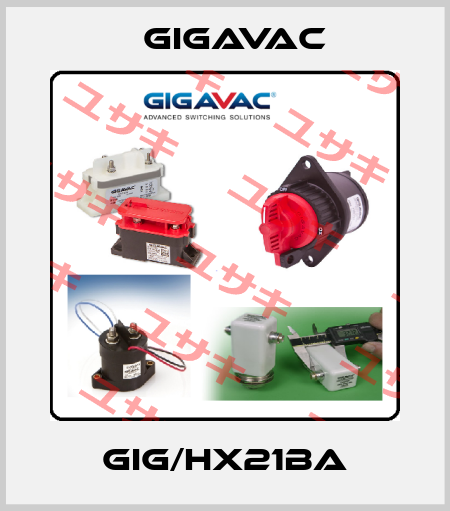 GIG/HX21BA Gigavac