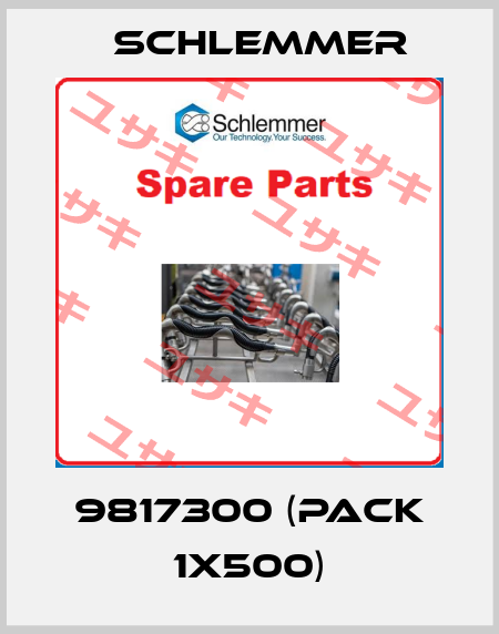 9817300 (pack 1x500) Schlemmer