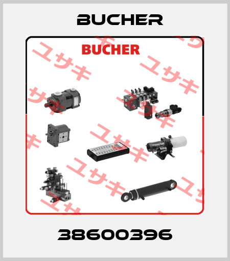 38600396 Bucher
