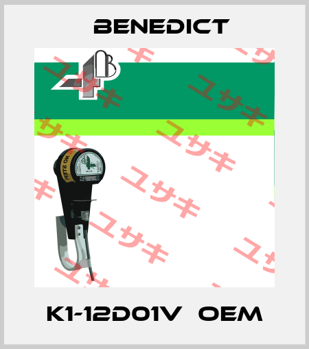 K1-12D01V  OEM Benedict