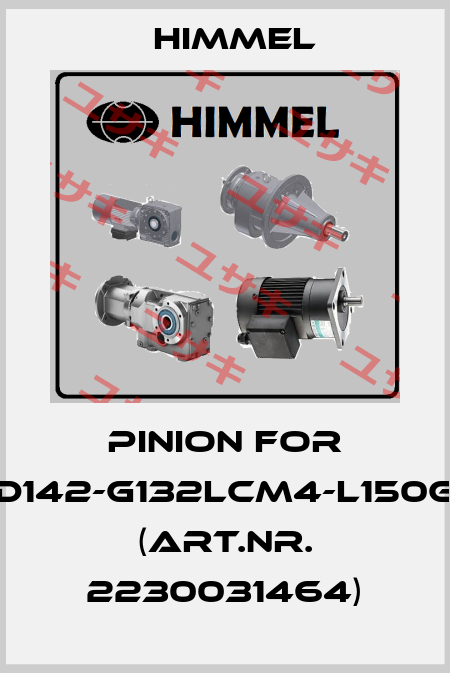 Pinion for D142-G132lCM4-L150G (Art.Nr. 2230031464) HIMMEL