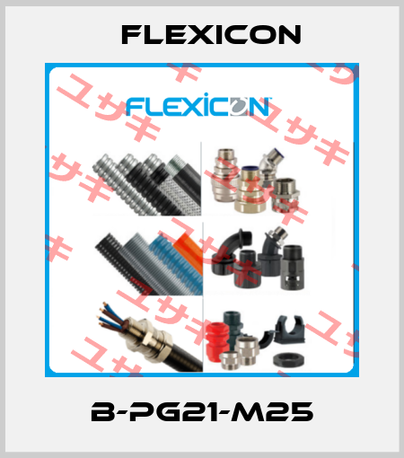B-PG21-M25 Flexicon
