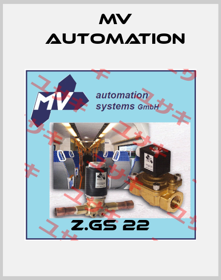 Z.GS 22 MV automation