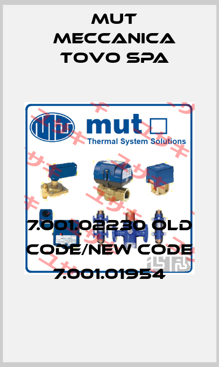 7.001.02230 old code/new code  7.001.01954 Mut Meccanica Tovo SpA