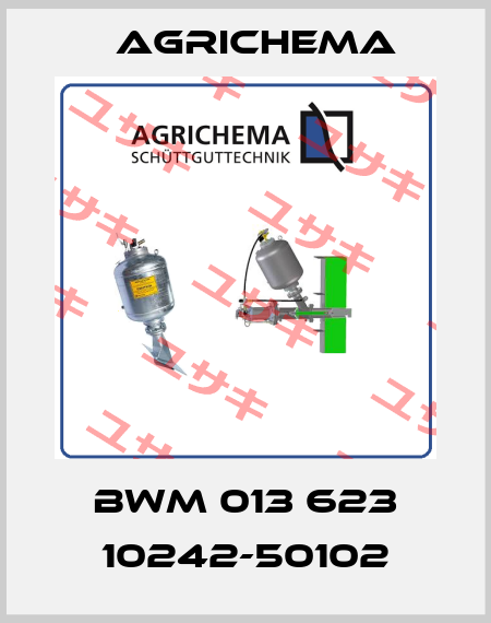BWM 013 623 10242-50102 Agrichema