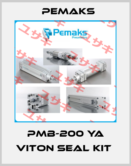 PMB-200 YA VITON SEAL KIT  Pemaks