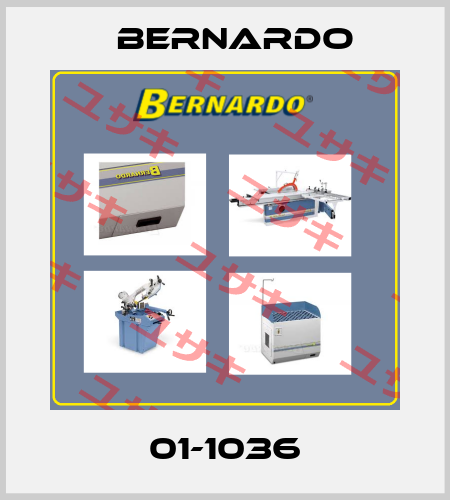 01-1036 Bernardo
