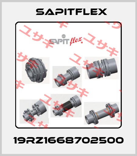 19RZ1668702500 Sapitflex