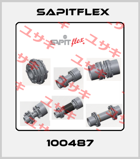 100487 Sapitflex