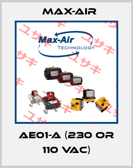 AE01-A (230 or 110 vac) Max-Air