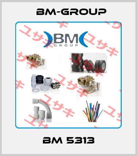 BM 5313 bm-group