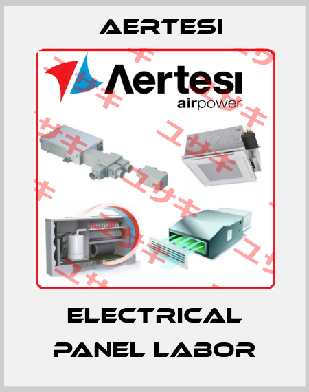 Electrical panel labor Aertesi