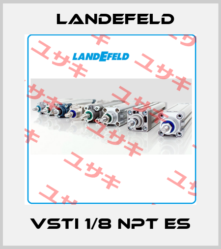 VSTI 1/8 NPT ES Landefeld