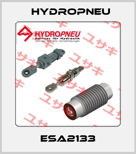 ESA2133 Hydropneu
