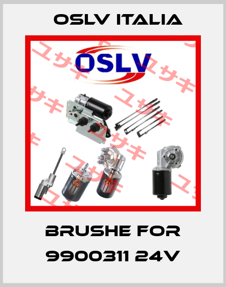 Brushe for 9900311 24V OSLV Italia