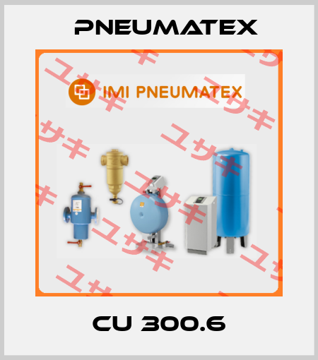 CU 300.6 PNEUMATEX