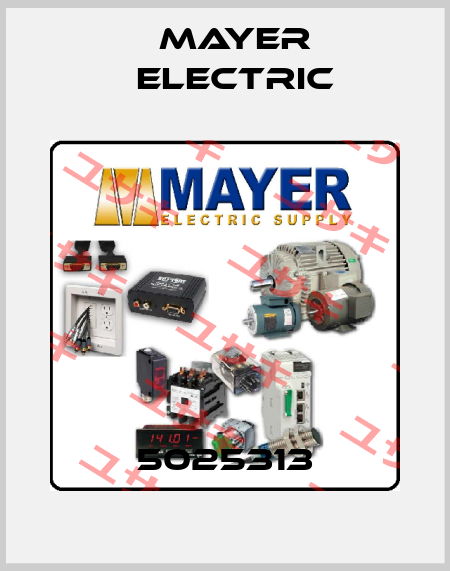 5025313 Mayer Electric