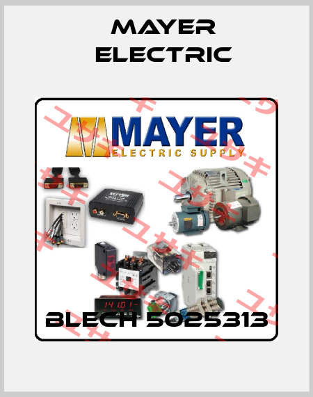 BLECH 5025313 Mayer Electric