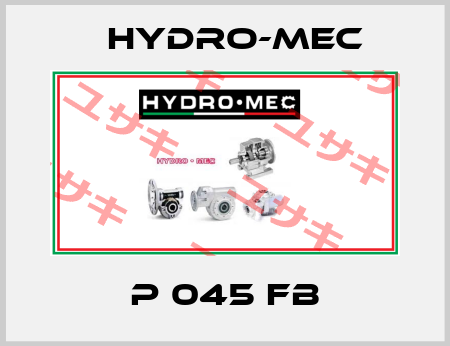 P 045 FB Hydro-Mec