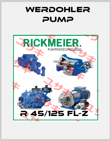 R 45/125 FL-Z  Werdohler Pump