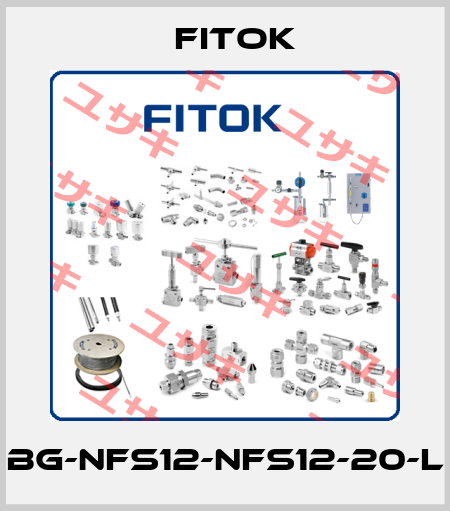 BG-NFS12-NFS12-20-L Fitok