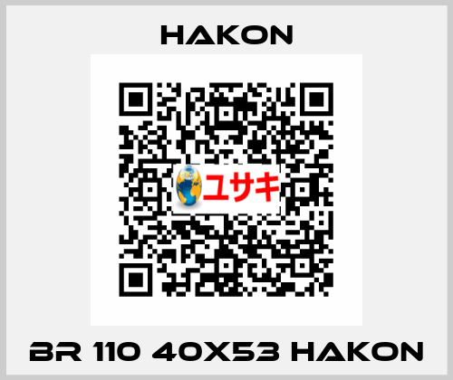BR 110 40x53 Hakon Hakon
