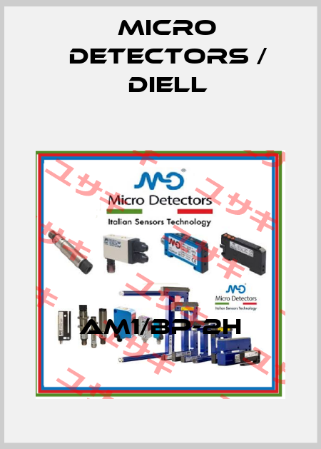 AM1/BP-2H Micro Detectors / Diell