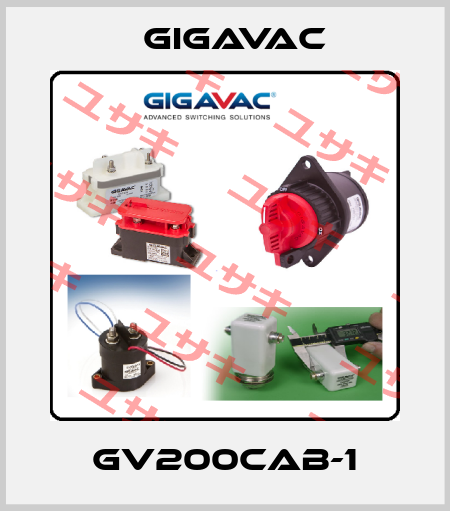 GV200CAB-1 Gigavac