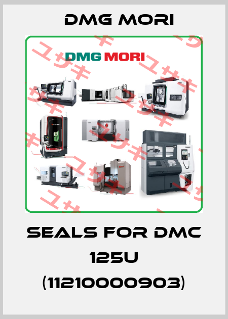 Seals for DMC 125U (11210000903) DMG MORI